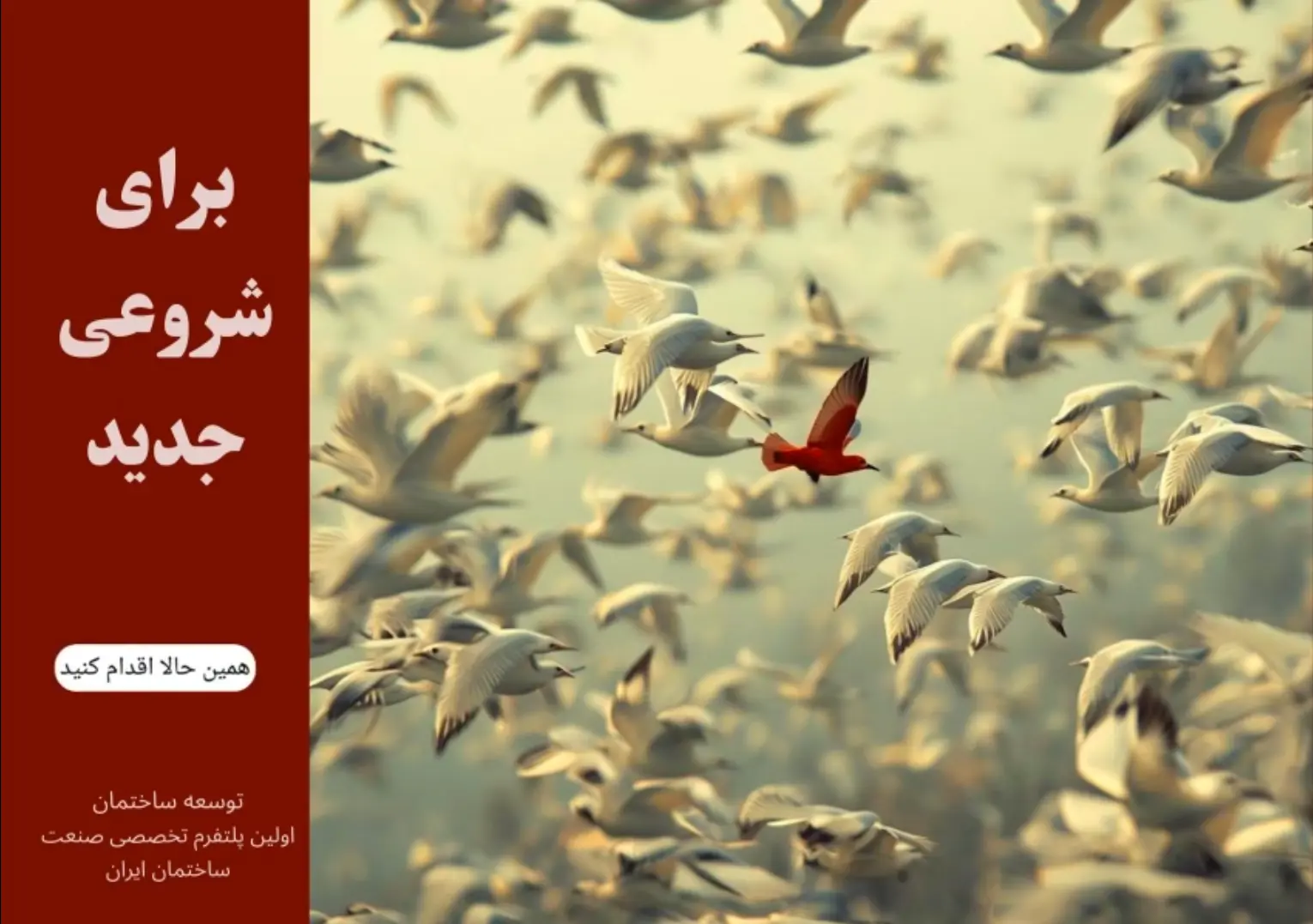 پیمانکاران عمومی - تصویر 2